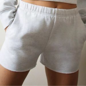 Aritzia Light Gray Terry Shorts